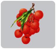 你能分辨出荔枝的種類嗎?最喜歡的是哪一種?